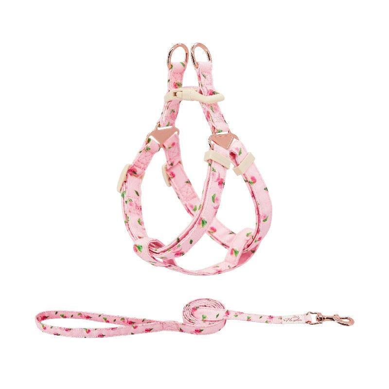 ARKIKA® Fruit-Colored Dog Harness Leash Kit - KIKOPALS