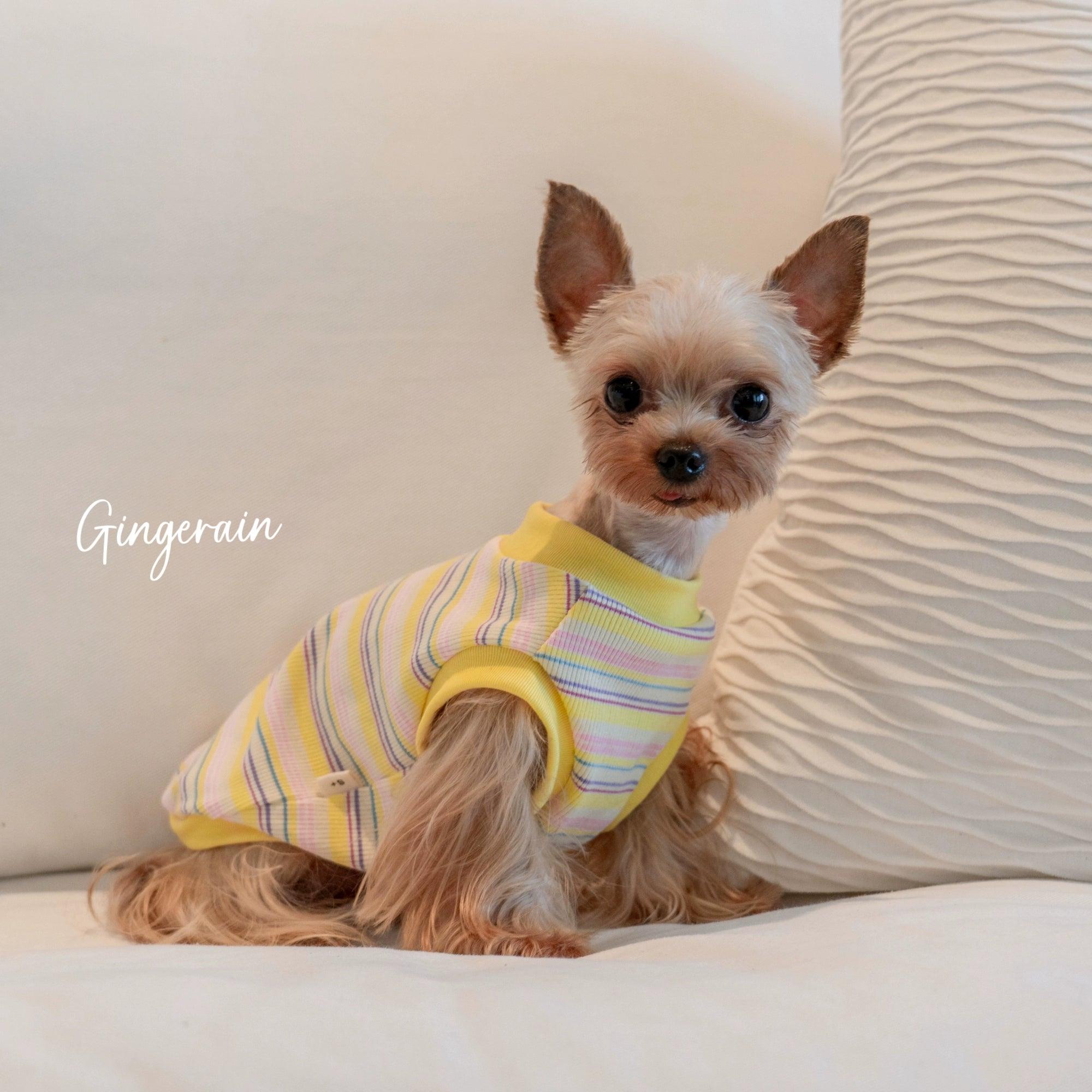 GINGERAIN® Ice Cream Summer Striped Pet Vest - KIKOPALS