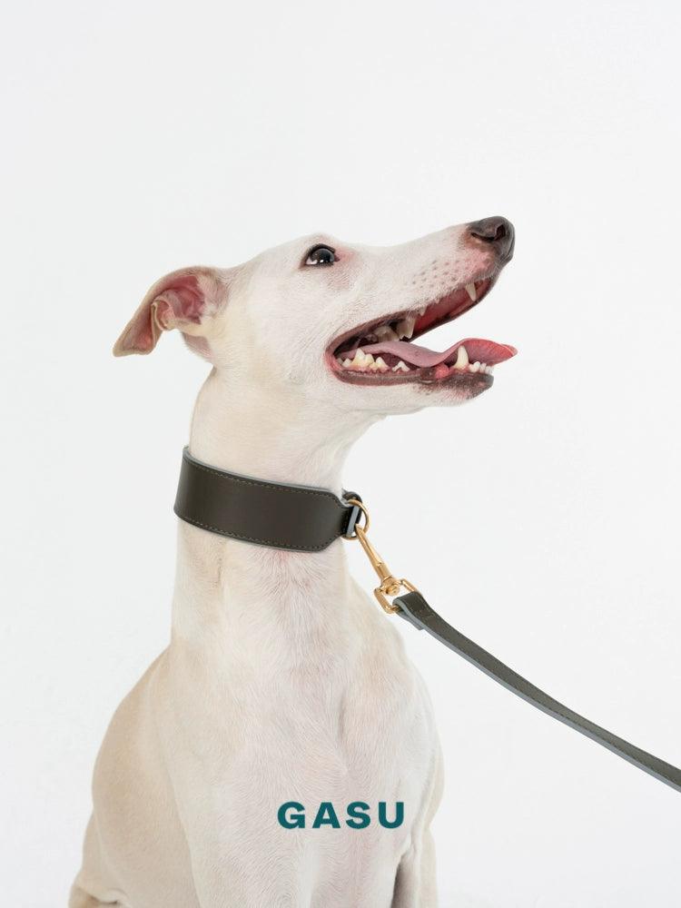 GASU® Soft Italian Leather Pet Collar - KIKOPALS