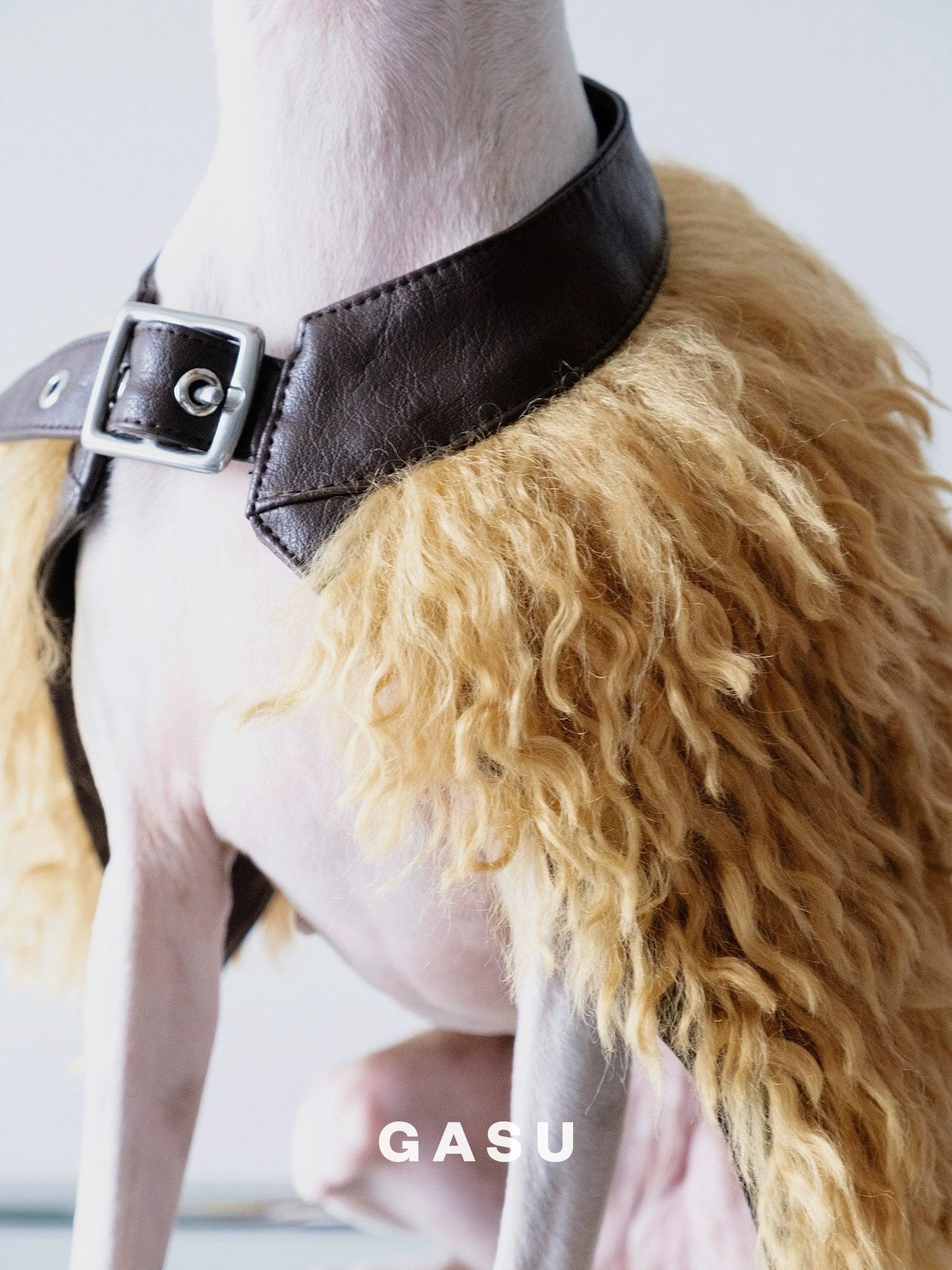 GASU® Leather Dog Cape - KIKOPALS