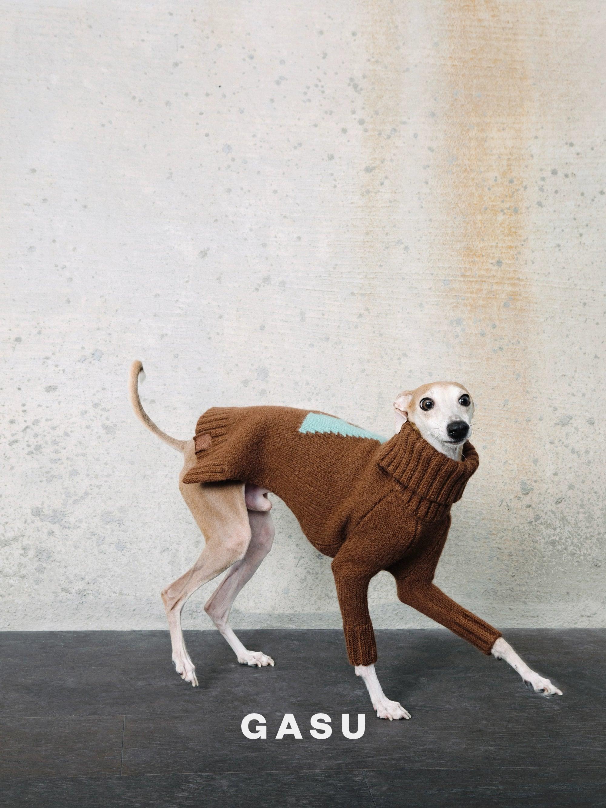 GASU® Chunky Wool Dog Two-Legged Sweater - KIKOPALS