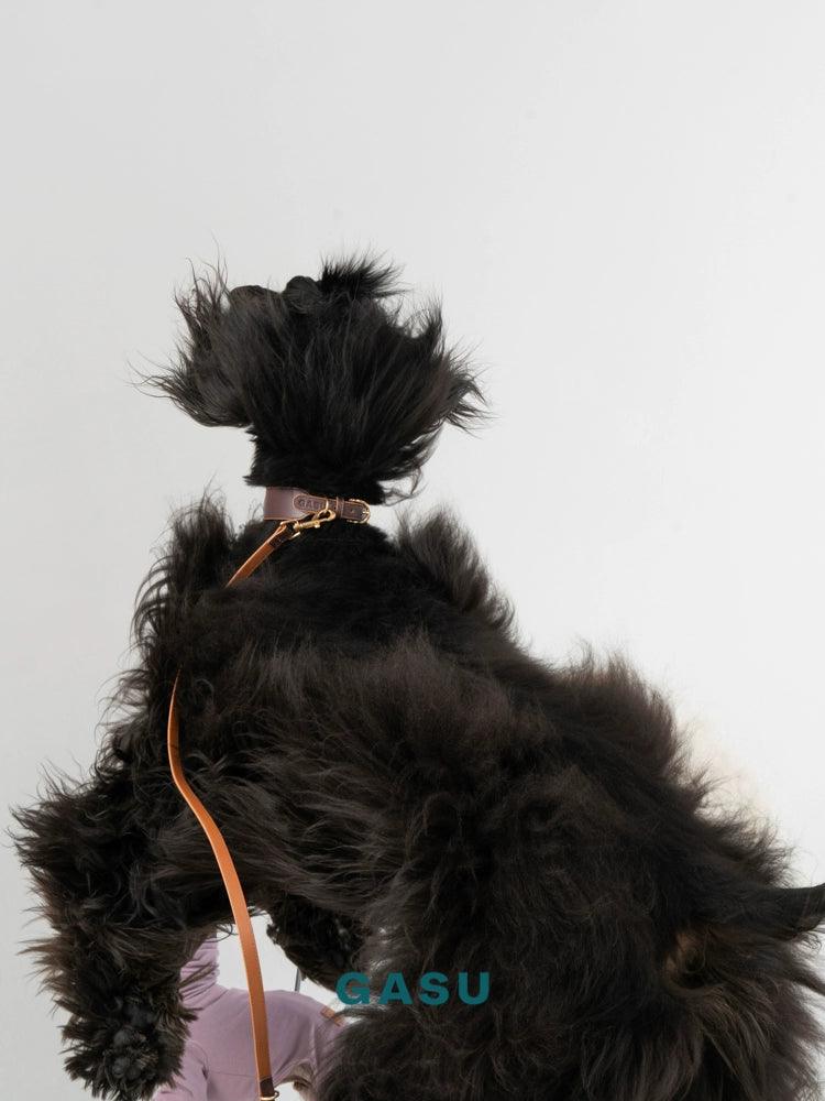 GASU® Soft Italian Leather Pet Collar - KIKOPALS