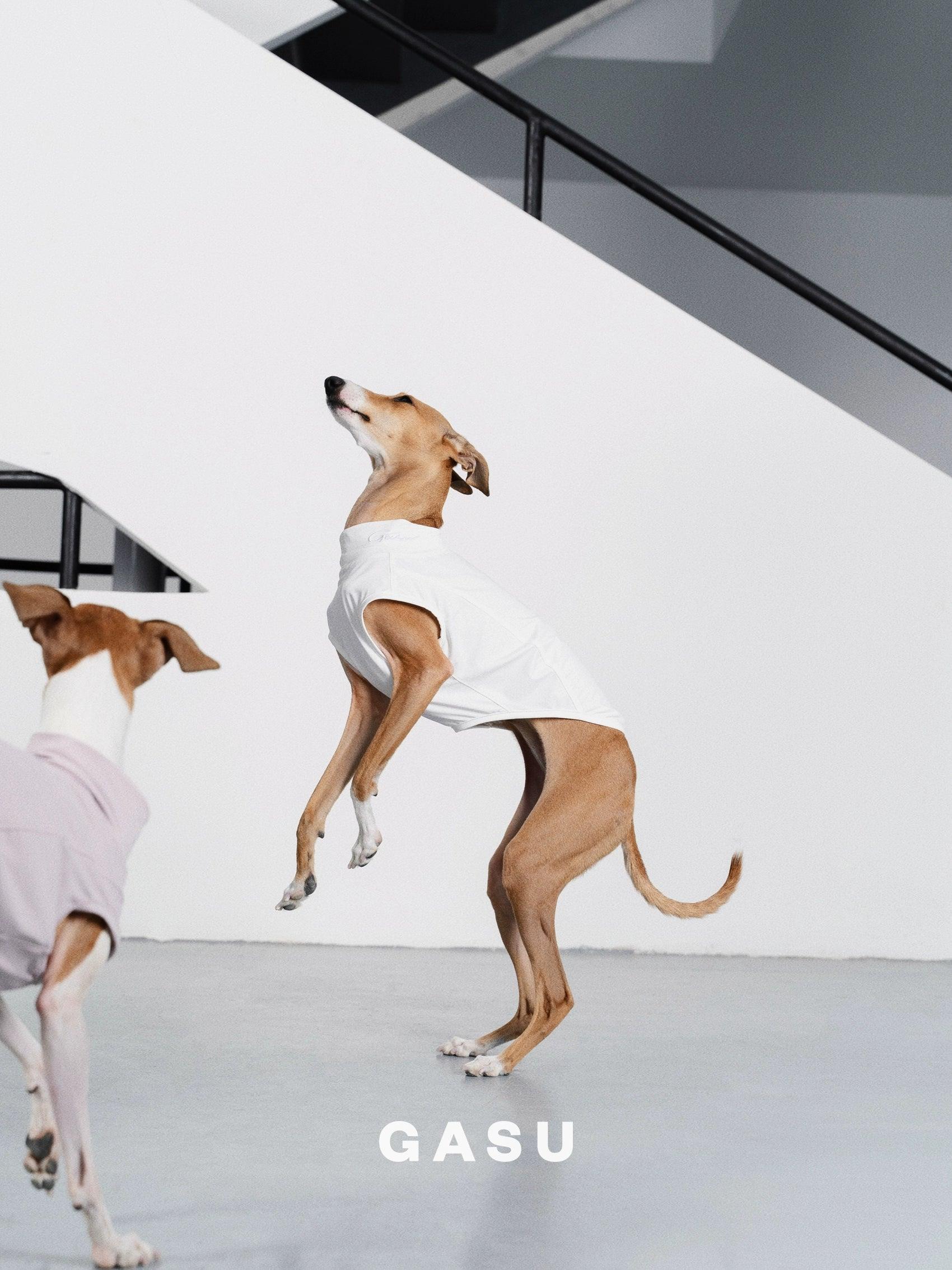 GASU® UPF50+ Cooling Dog Sun Vest - KIKOPALS