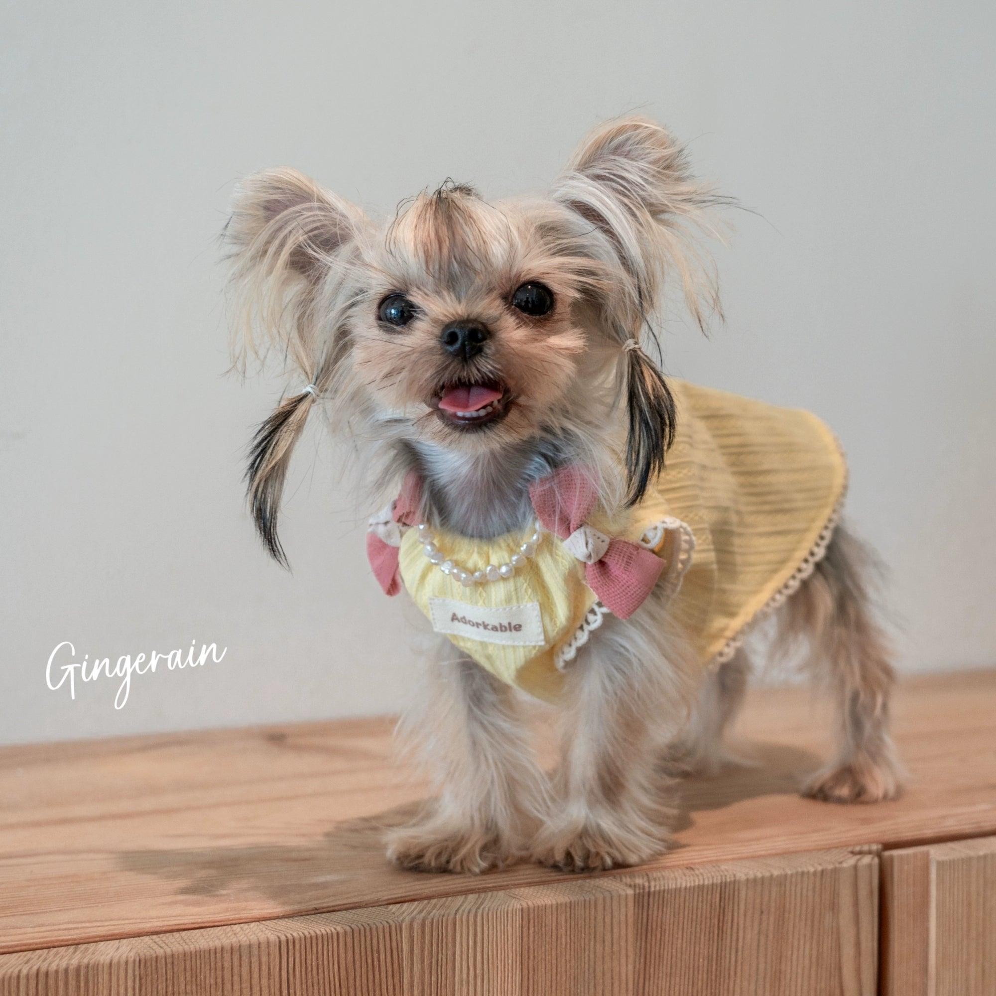 GINGERAIN® Breathable Loose Fit Pet Vest - KIKOPALS