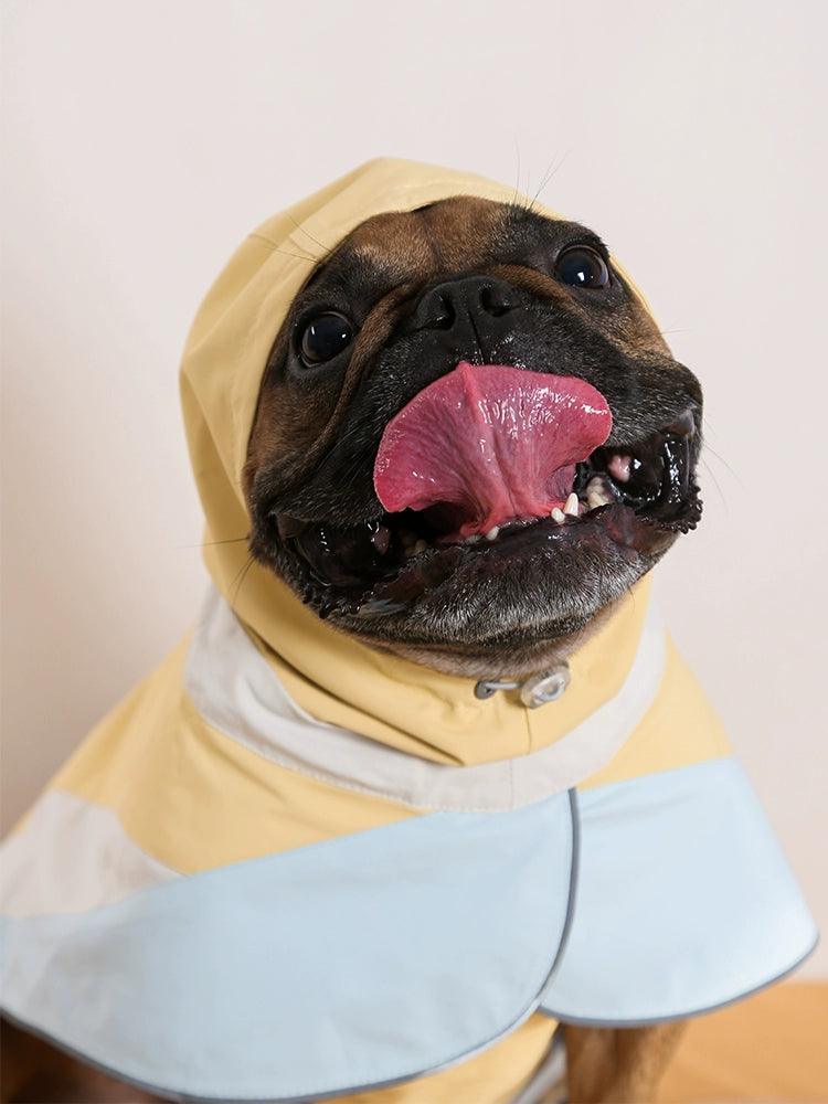 Dottylab® Reflective Waterproof Pet Raincoat - KIKOPALS