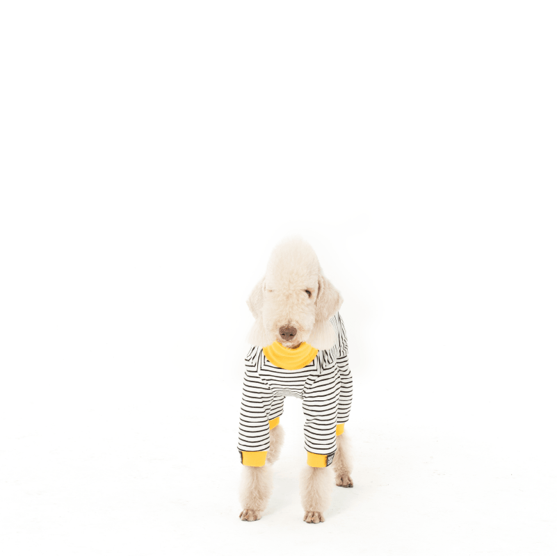 PUFFYCLOUD® Striped Dog Four-Legged Base Layer Sweater - KIKOPALS