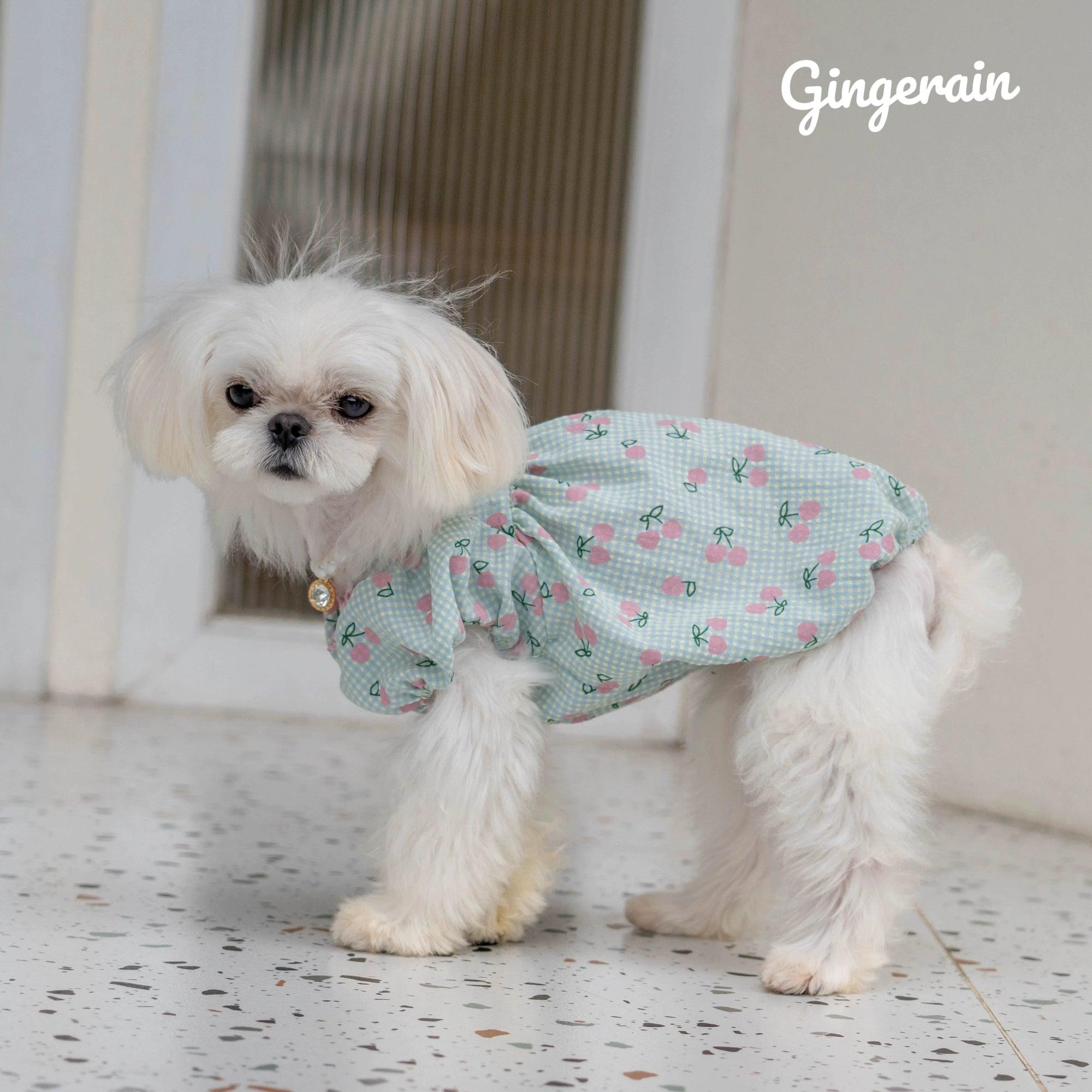 GINGERAIN® Wrinkle-Resistant Puff Sleeve Dog Tutu Dress - KIKOPALS