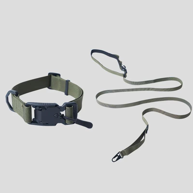 PLAYLOGIC® Pet Collar & Leash Kit - KIKOPALS