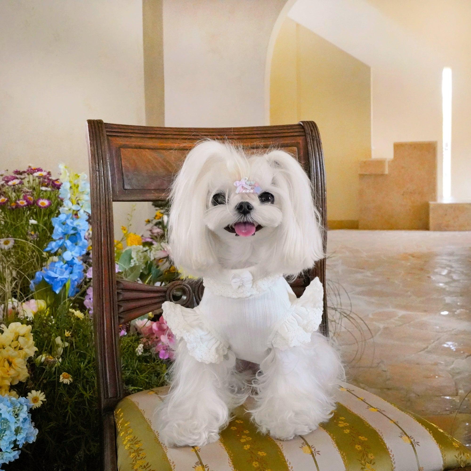 BOWWW® Pet Little Sweetheart Knitted Base Layer Top - KIKOPALS