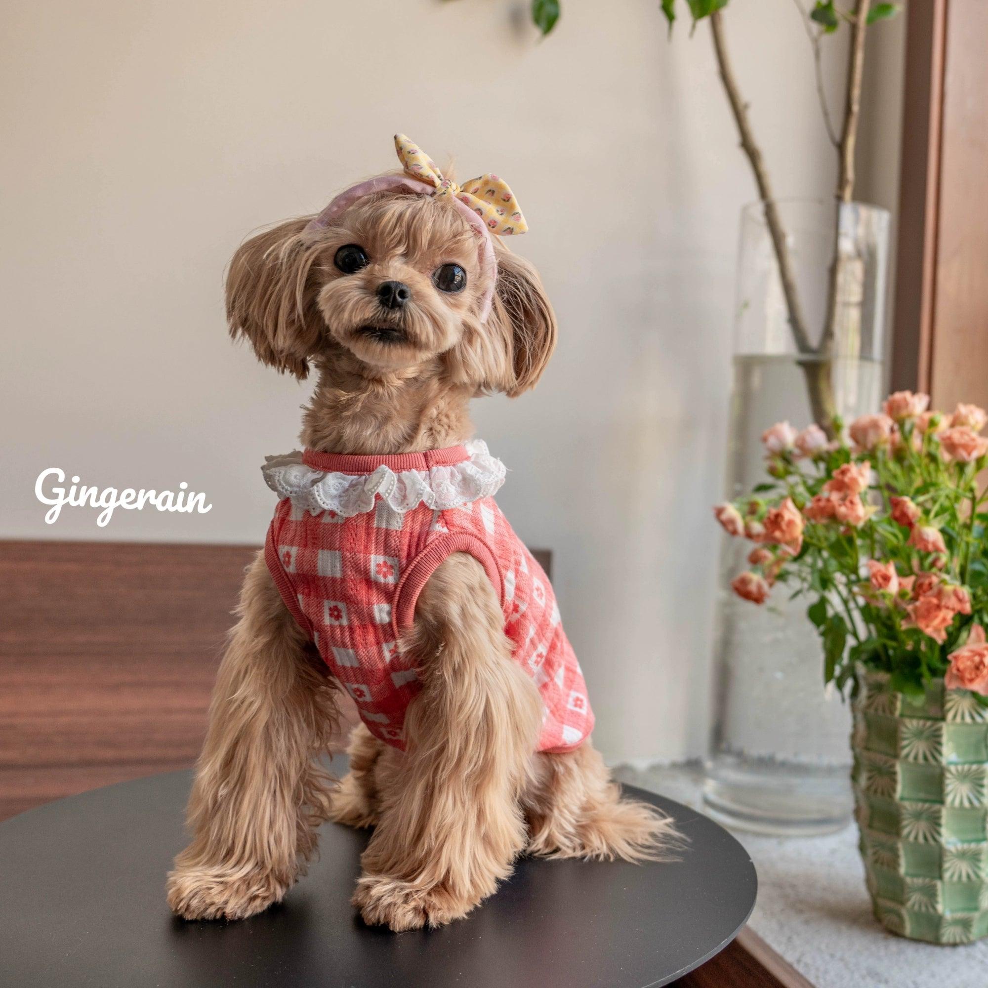 GINGERAIN® Dog Vest with Collar - KIKOPALS