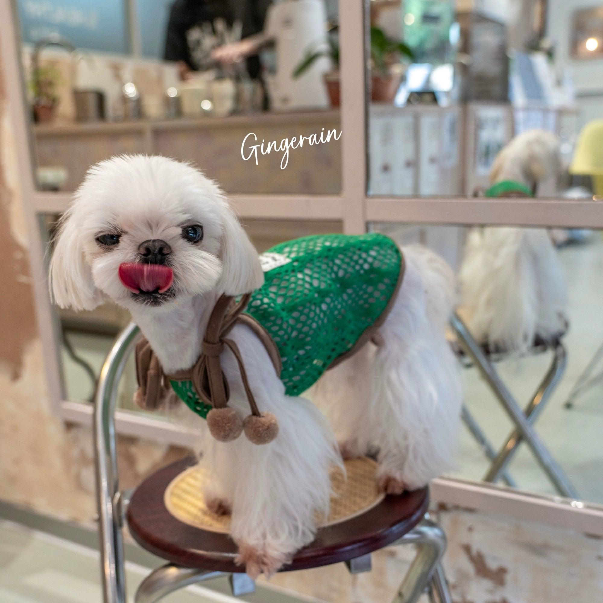 GINGERAIN® Mesh Hollow-Out Dog Vest - KIKOPALS