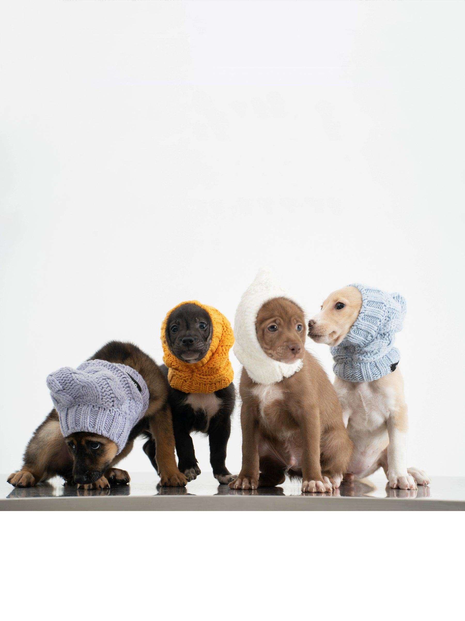 GASU® Cashmere Merino Wool Pet Beanie - KIKOPALS