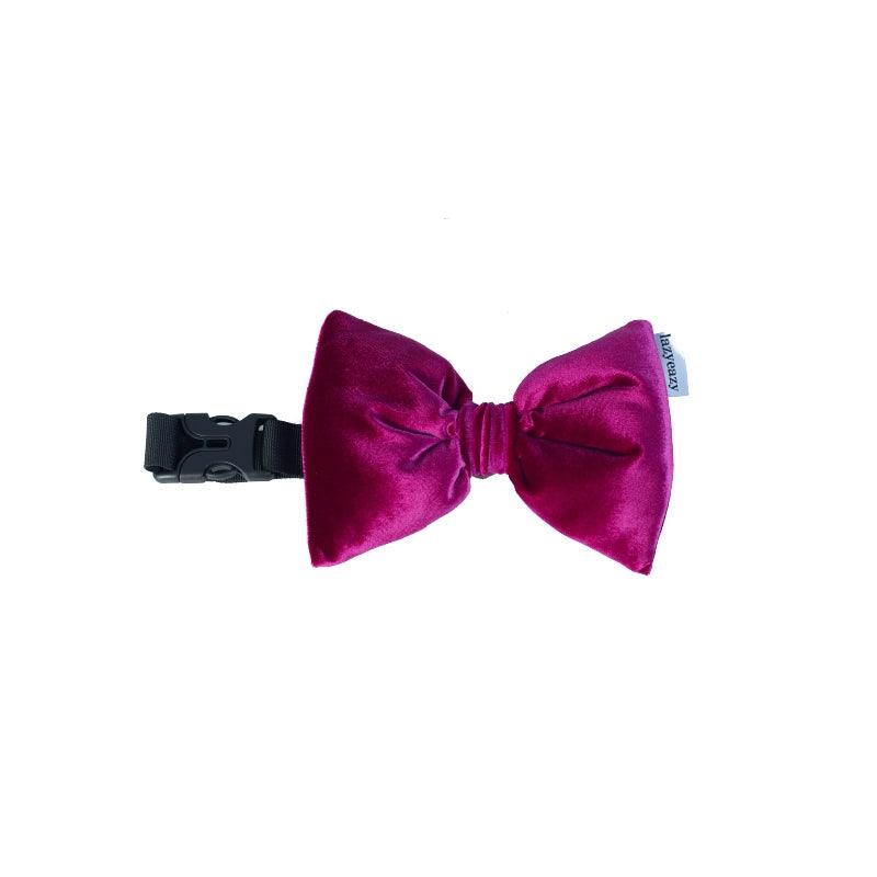 LazyEazy® Velvet Pet Bow Tie - KIKOPALS