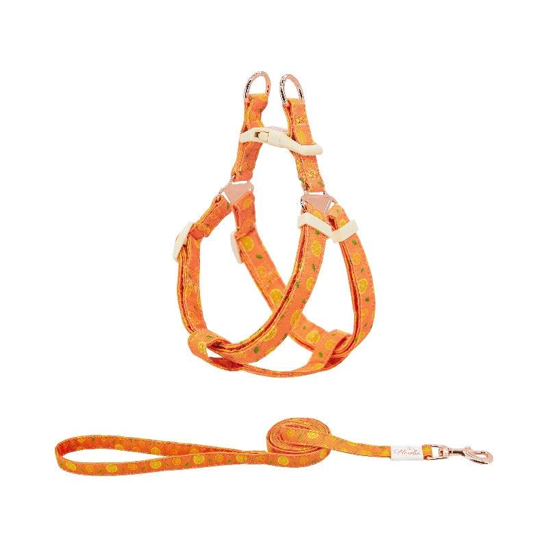 ARKIKA® Fruit-Colored Dog Harness Leash Kit - KIKOPALS