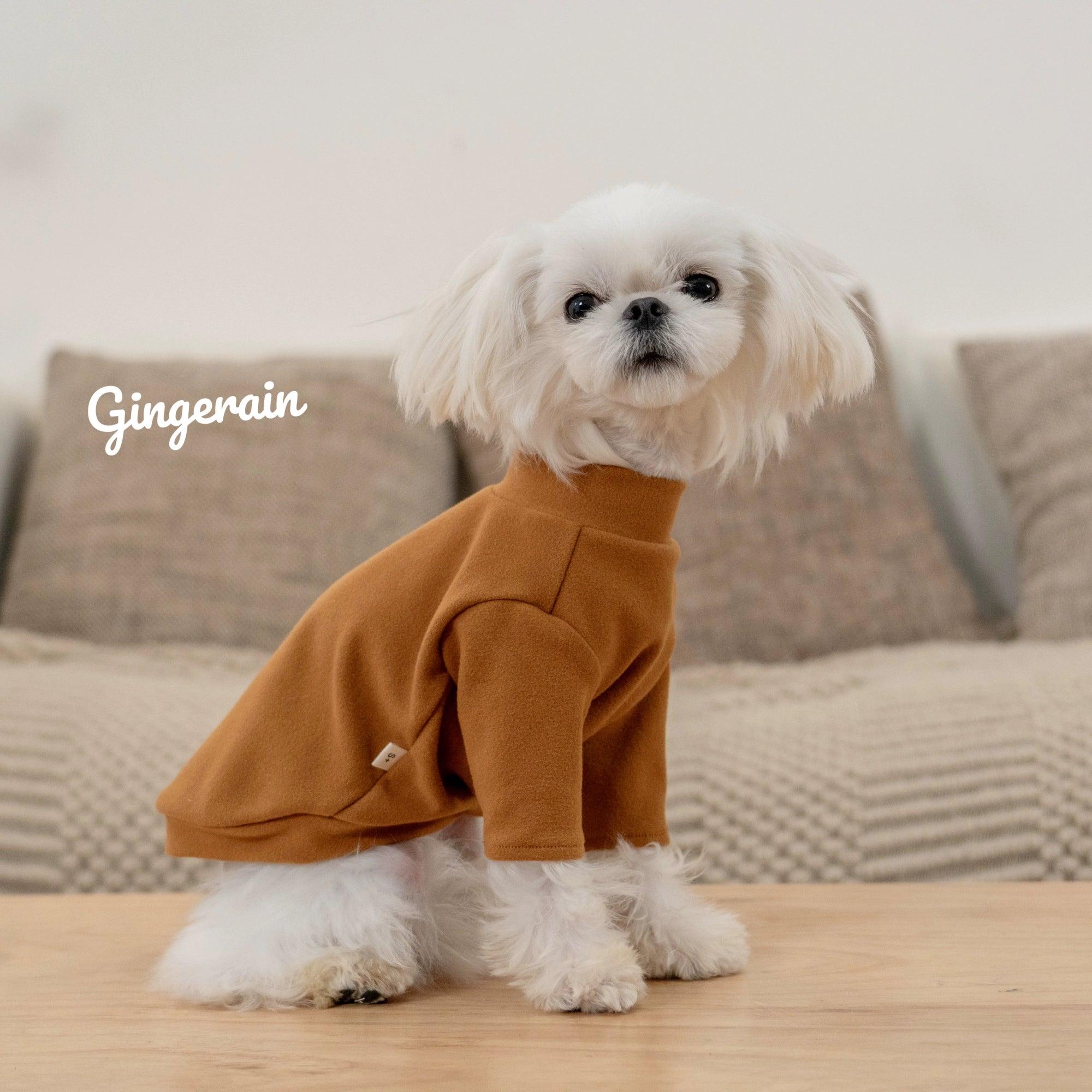 GINGERAIN® Warm Dog Sweatshirt - KIKOPALS