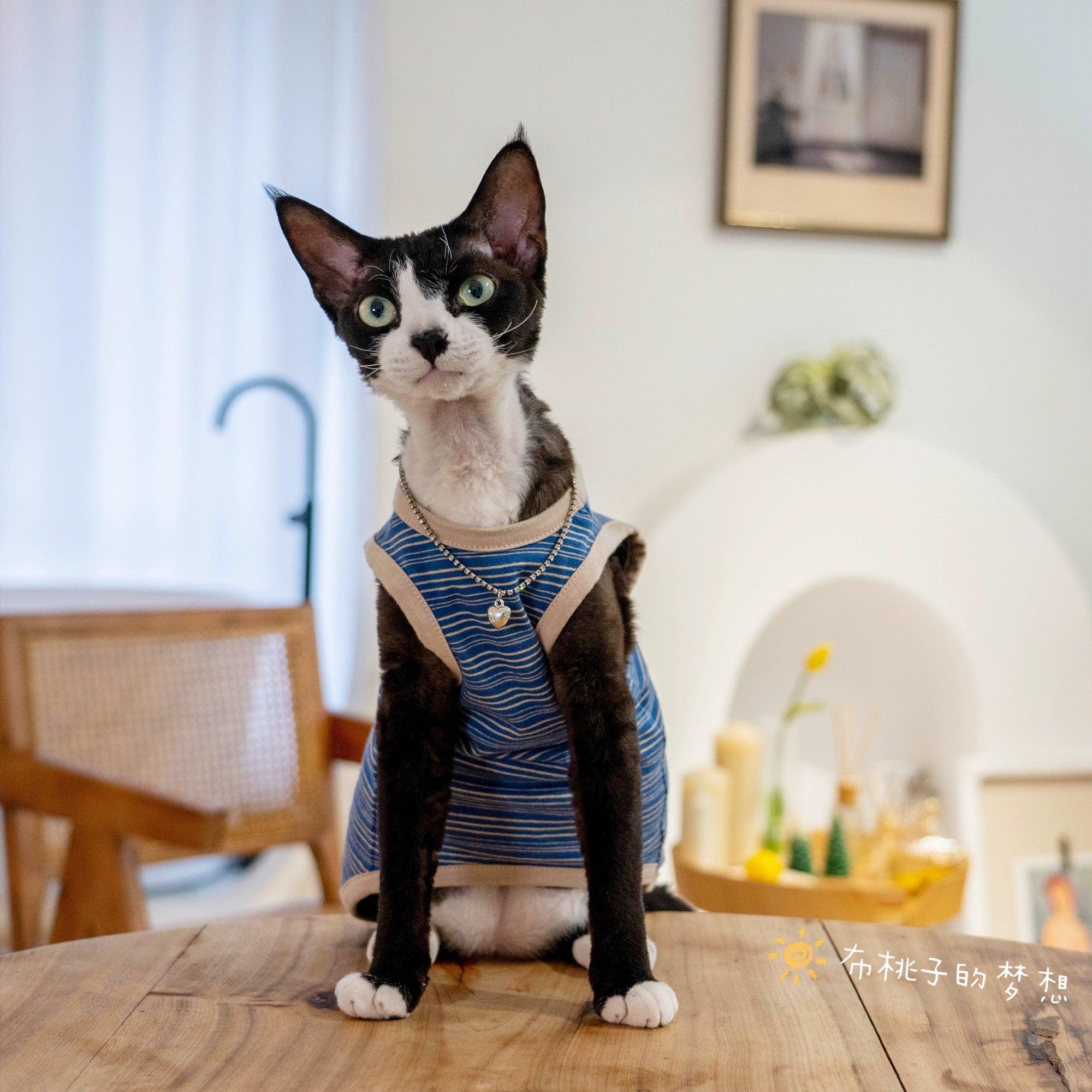 GINGERAIN® Stretch Cotton Pet Vest - KIKOPALS