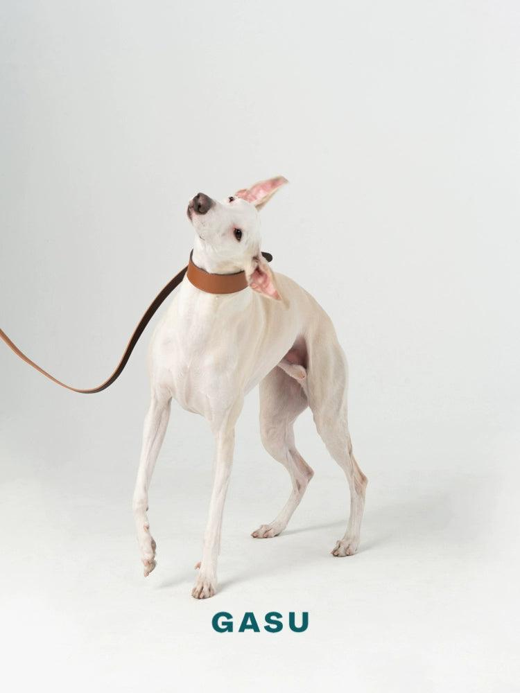 GASU® Soft Italian Leather Pet Collar - KIKOPALS