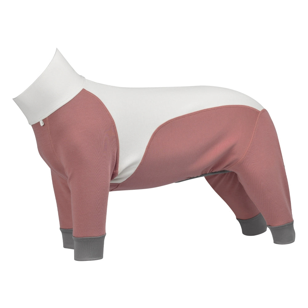 BlackDoggy® Merino Four-Legged Warmth Suit for Dogs