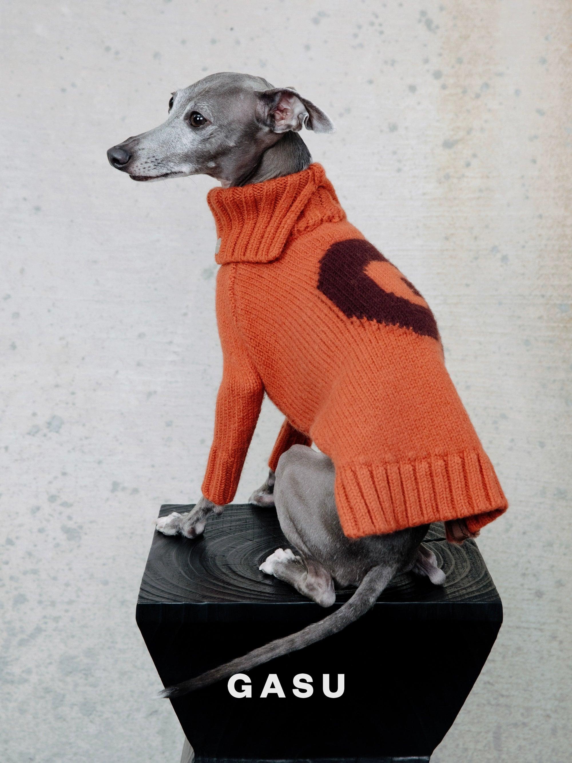 GASU® Chunky Wool Dog Two-Legged Sweater - KIKOPALS
