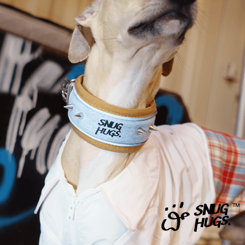 SNUGHUGS® Denim Stud Dog Collar - KIKOPALS