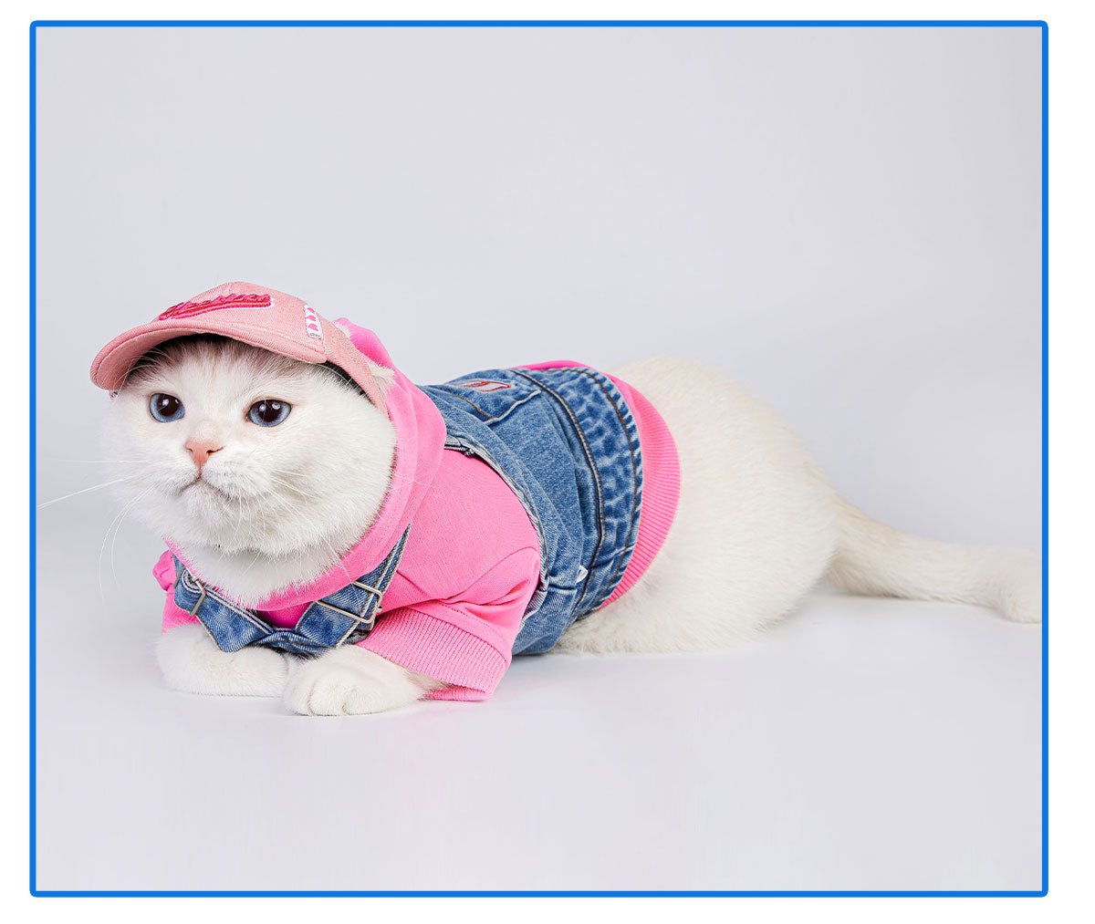 MookiPet® Candy Color Baseball Cap for Dogs & Cats