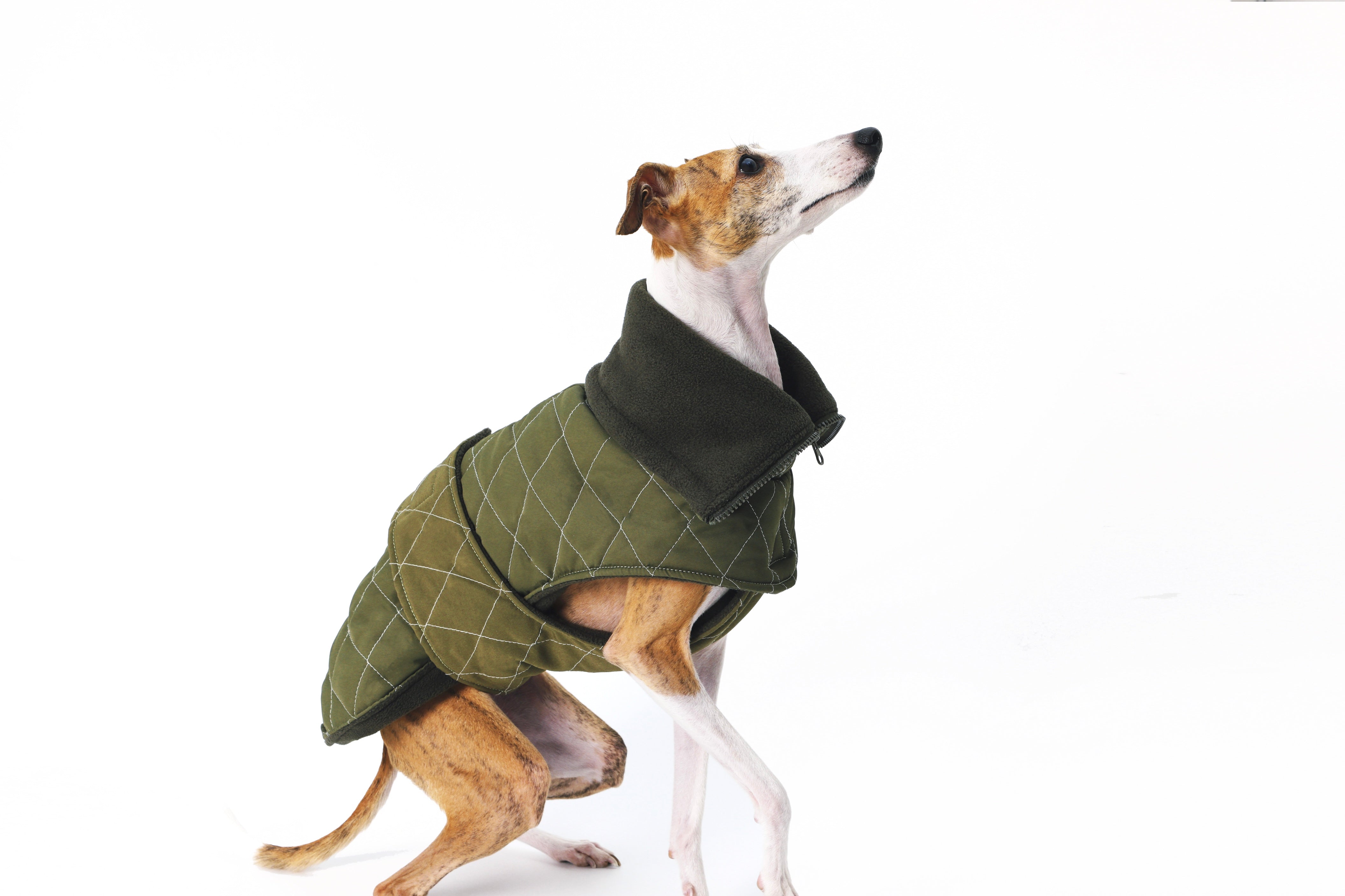 Nuoz® Waterproof Dog Jacket - Olive Green