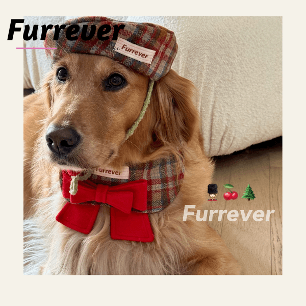 Furrever® Gingerbread Man Pet Bib - KIKOPALS
