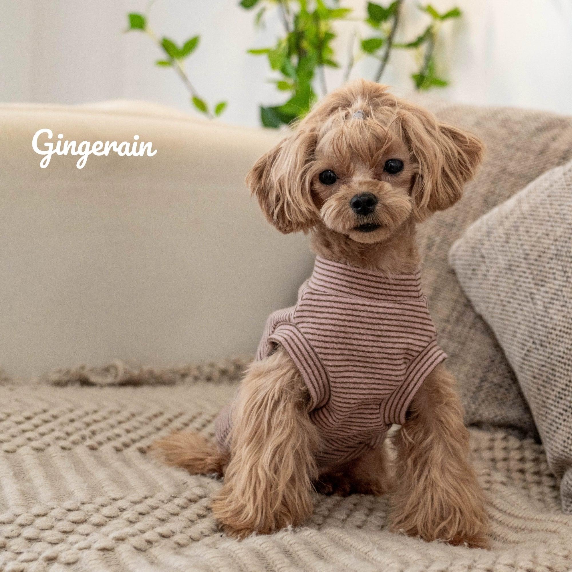 GINGERAIN® Striped Cotton Brushed Warm Dog Vest - KIKOPALS