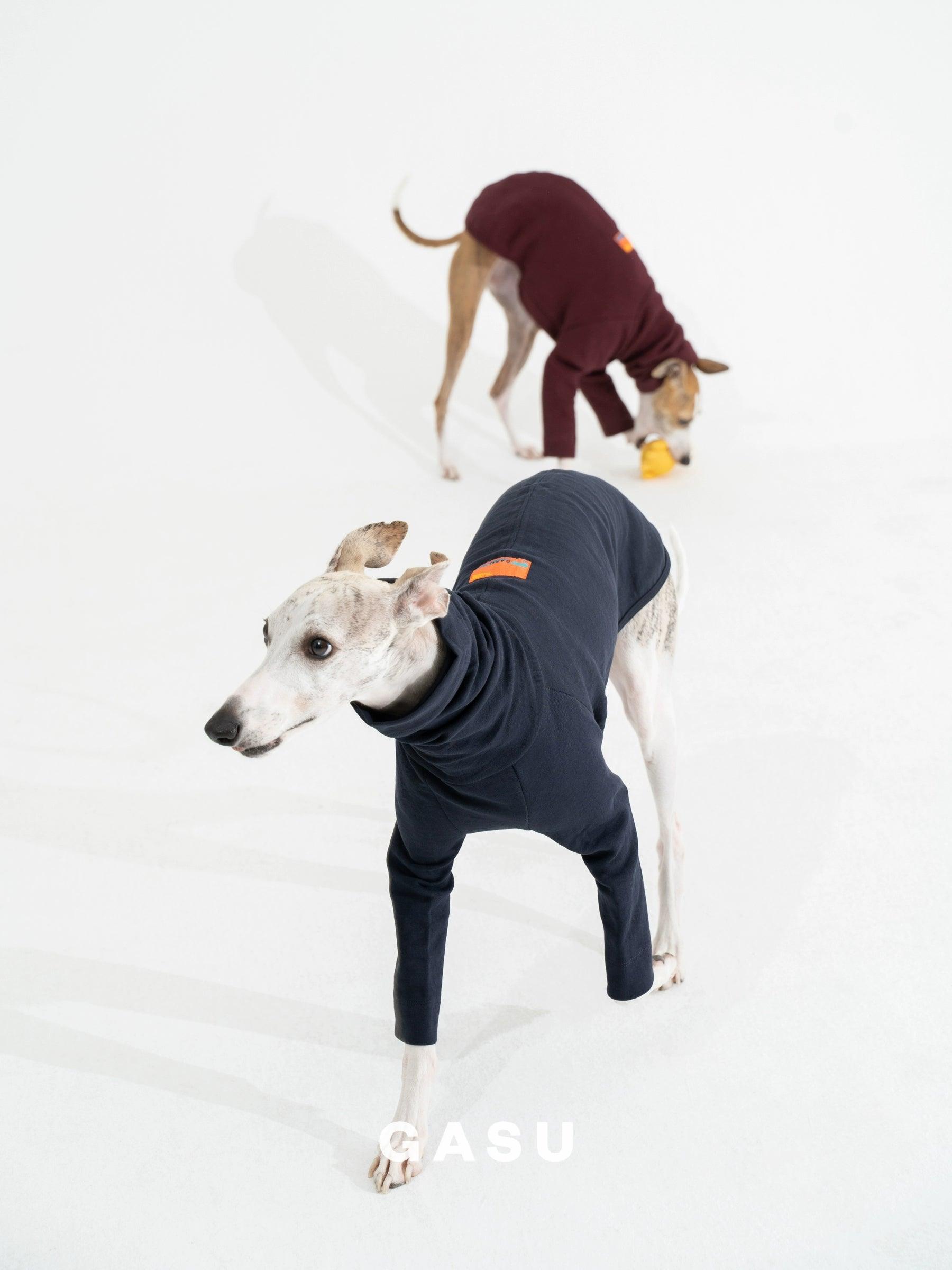 GASU® Textured Linen-Feel Slim Fit Pet Shirt - KIKOPALS