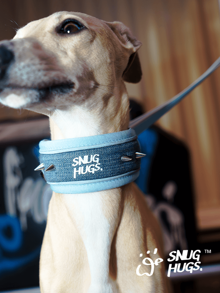 SNUGHUGS® Denim Stud Dog Collar - KIKOPALS