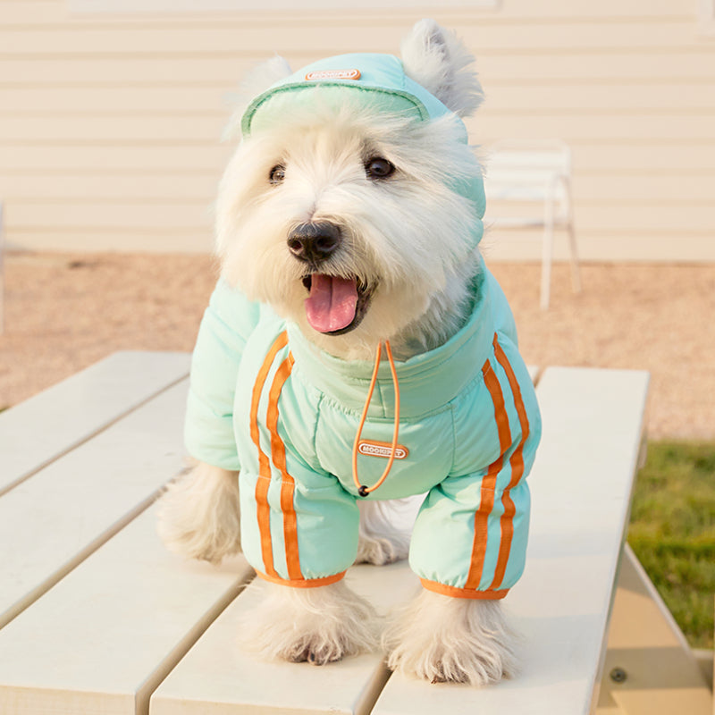 MookiPet® Caterpillar Four-Legged Down Coat for Dogs – Green and Orange