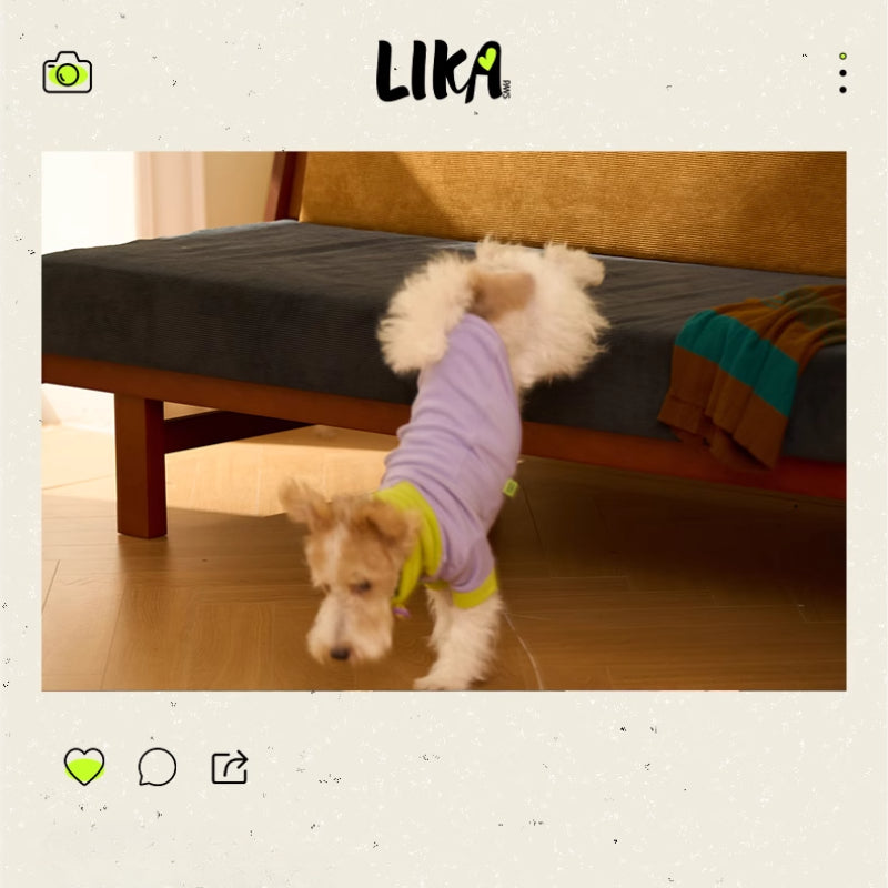 LIKAPAWS® Heated Dog Hoodies