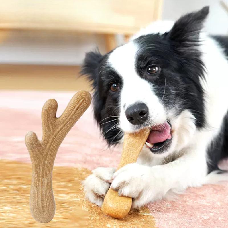 MoovaLab® Deer Antler Chew Dog Toy - KIKOPALS