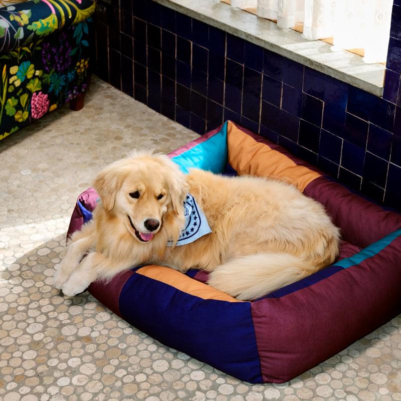 HAY® Colorful Pet Scarf - KIKOPALS