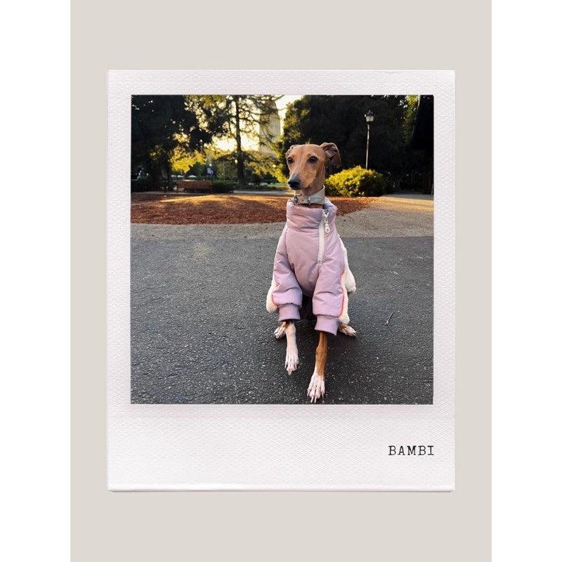 GASU® Puffer 3M Cotton Fleece Dog Jacket - KIKOPALS