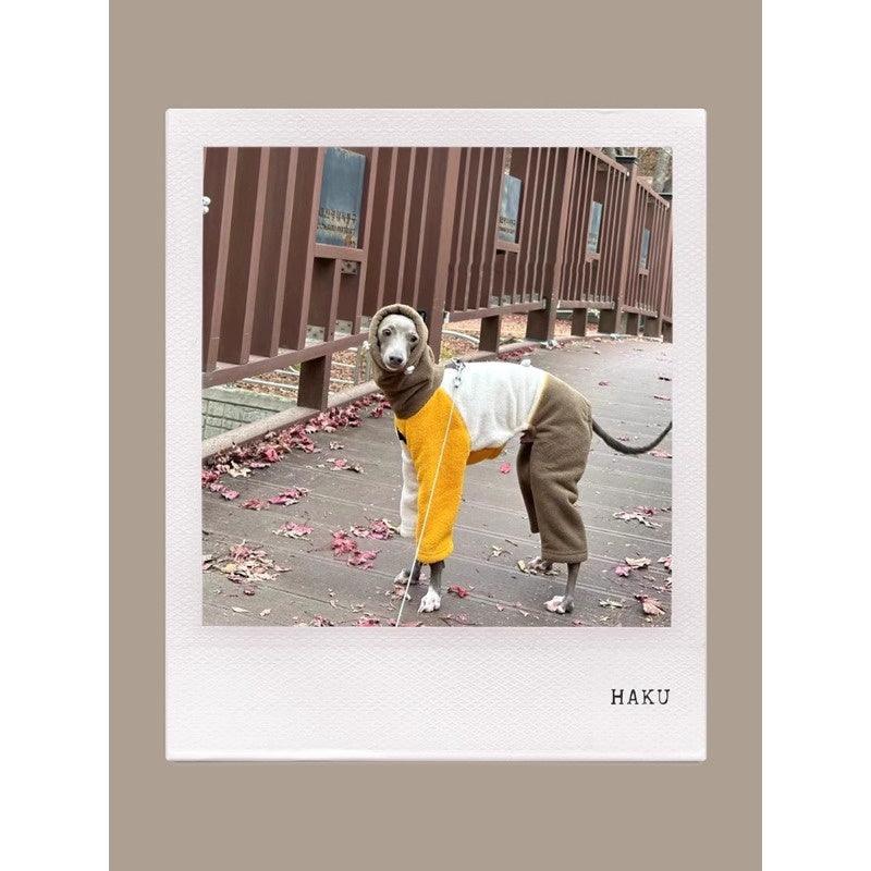 GASU® Anti-Static Sponge Cake Pet Outfit - KIKOPALS