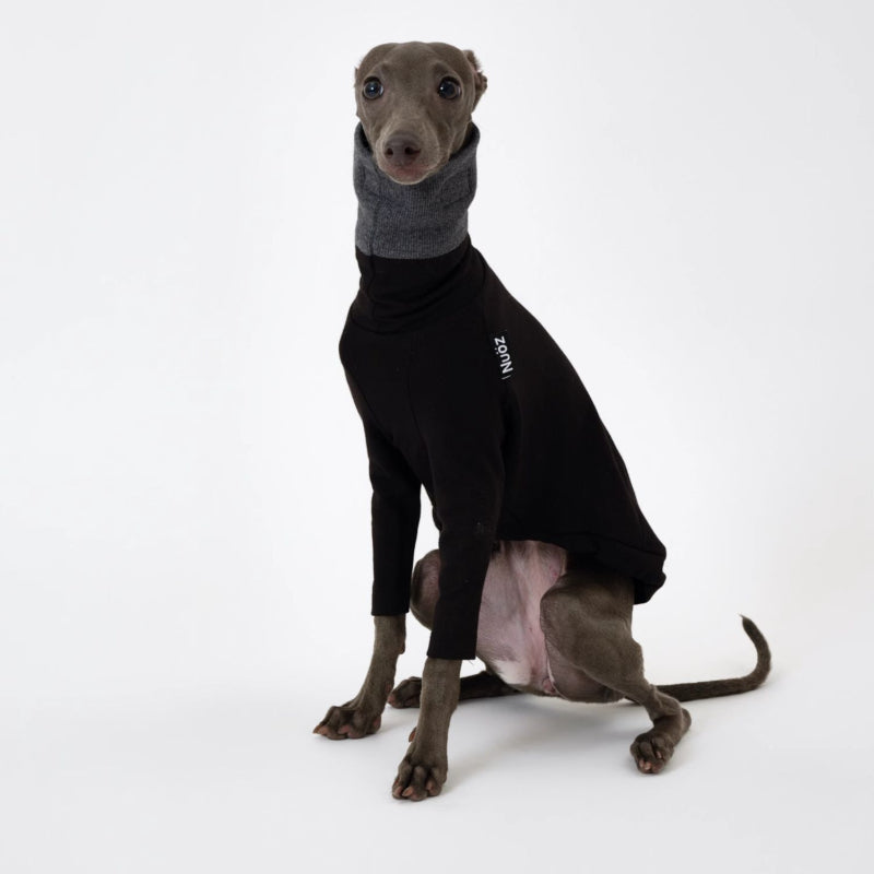 Nuoz® Colorful Gradient Hoodie with Removable Fur Collar for Dogs