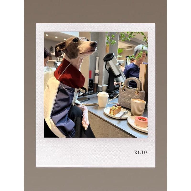 GASU® Waterproof Detachable Dog Raincoat - KIKOPALS