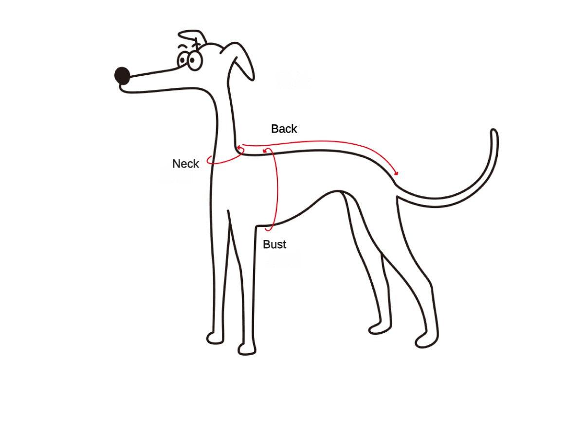 SANCCO® Striped Home Furnishing Set - For Dog - KIKOPALS