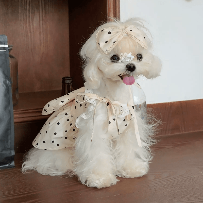 BOWWW® Pet Polka Dot Skirt - KIKOPALS