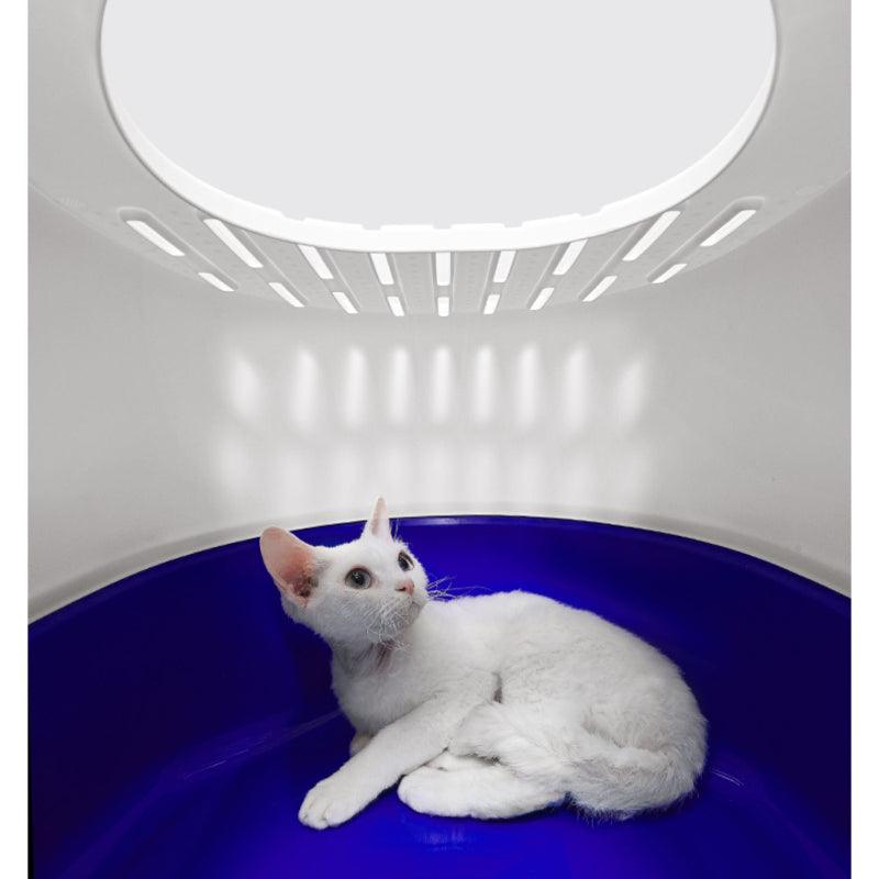 KITTY YOYO® Cat Litter Box - KIKOPALS