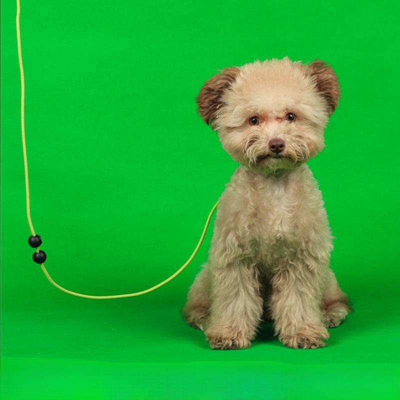 BeauGo® Pet Leash for Small Pet - KIKOPALS