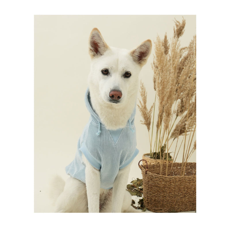 PuppyGallery® Painter Sleeveless Hoodie for Dogs