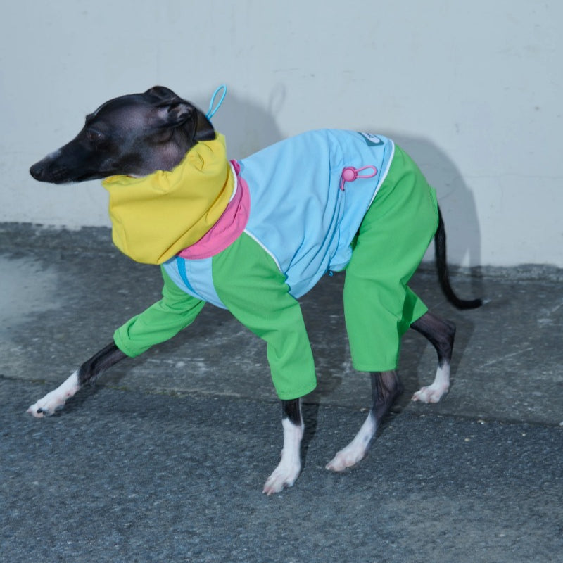 iiNeed® Waterproof Jacket Color-Block for Dogs