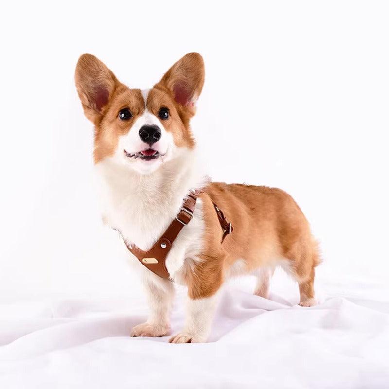 Minly® Leather Dog Harness and Leash Set - KIKOPALS