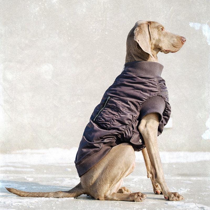 BBPRODUCTION® Pilot Dog Jacket - KIKOPALS