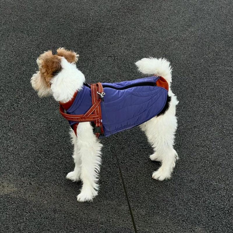 BBPRODUCTION® Galaxy Dog Winter Coat - KIKOPALS