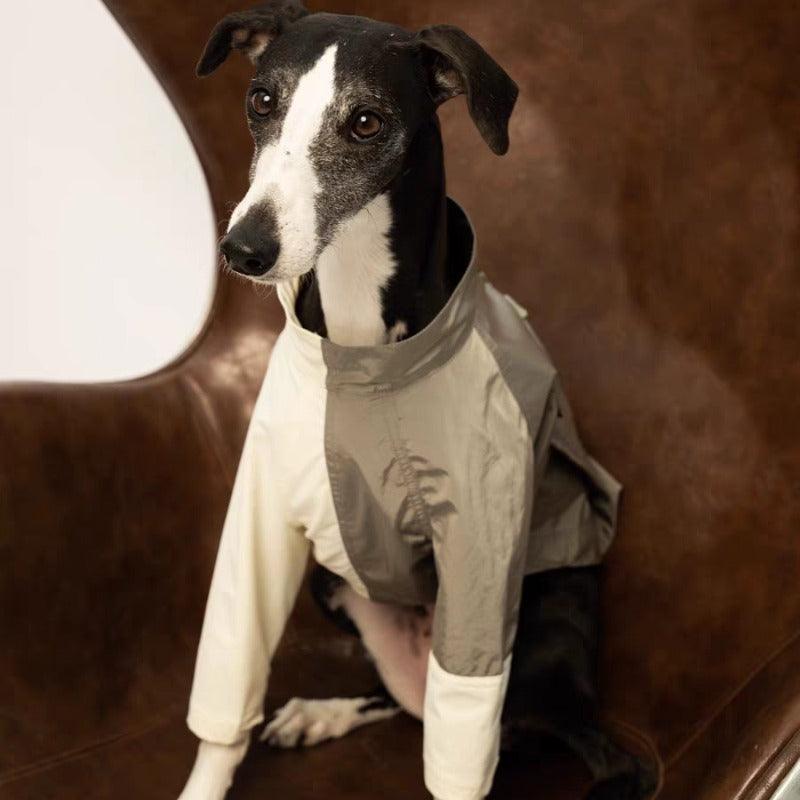 BBPRODUCTION® Colorblock Waterproof Dog Raincoat - KIKOPALS