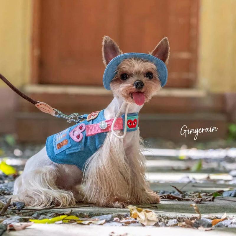 GINGERAIN® Denim Dog Harness Leash & Hat - KIKOPALS