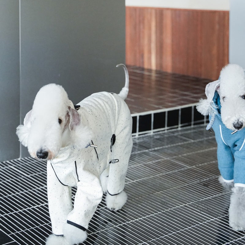 egge® School Uniform Hoodie - White & Blue for Dogs